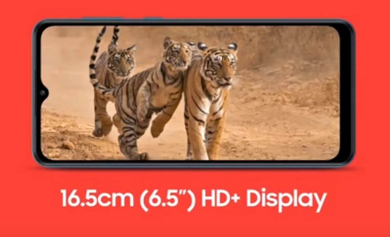 Samsung Galaxy M12 Display